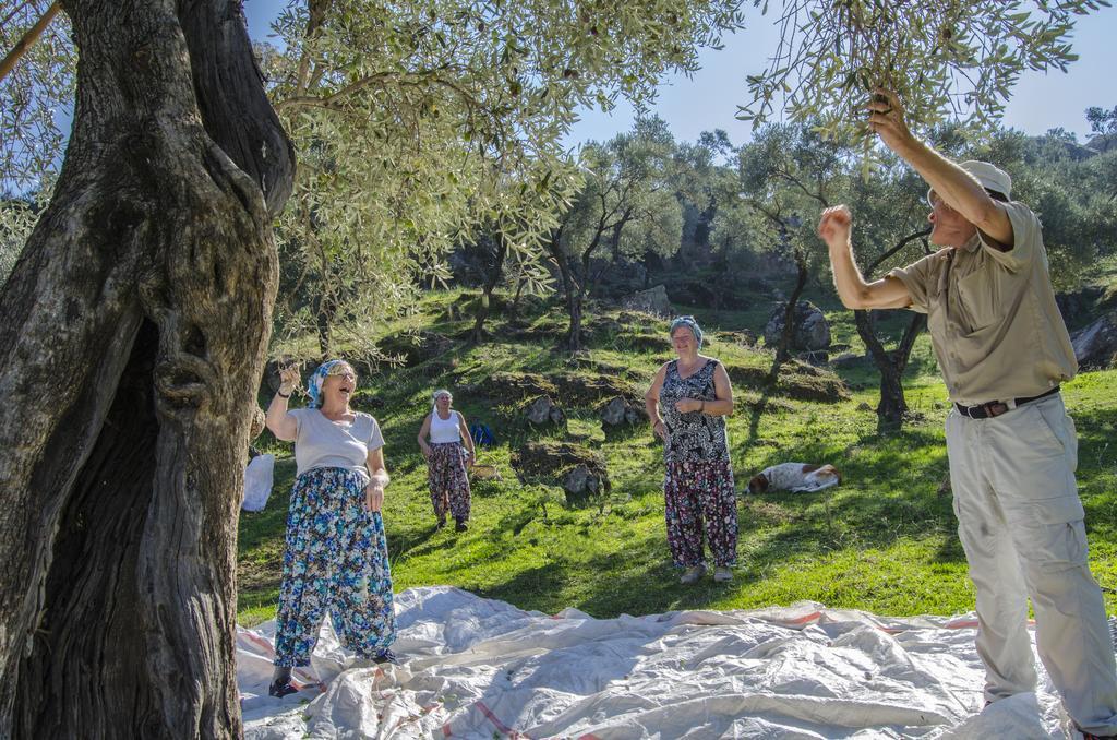 Agora Pansiyon Kapikiri Buitenkant foto