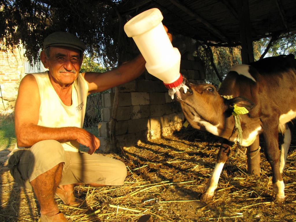 Agora Pansiyon Kapikiri Buitenkant foto